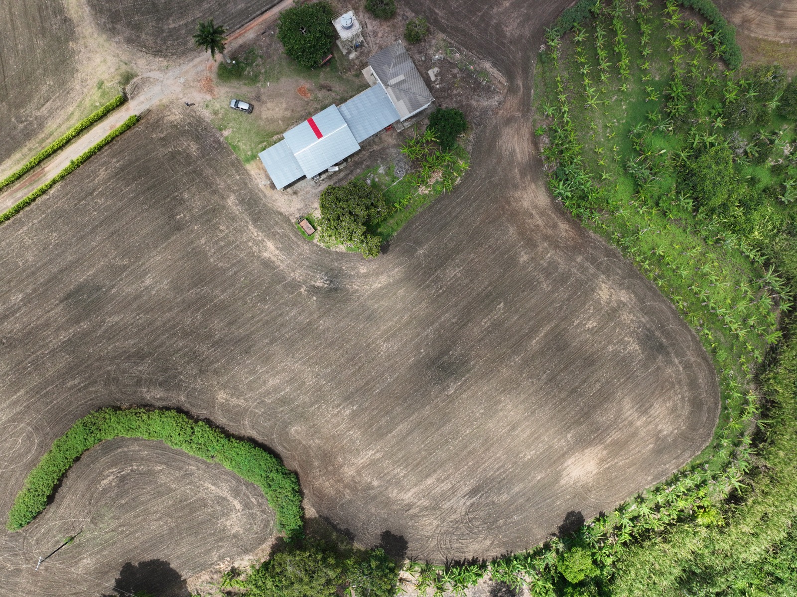 Análisis Bromatológico Digital