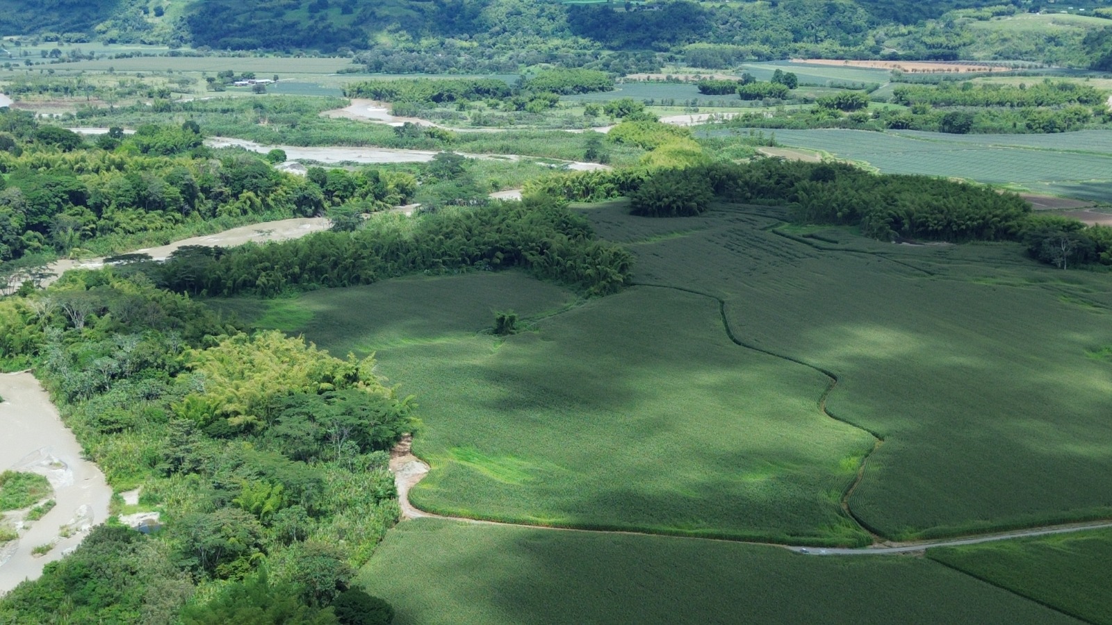 Diseño de Sistemas Rotacionales de Ganado