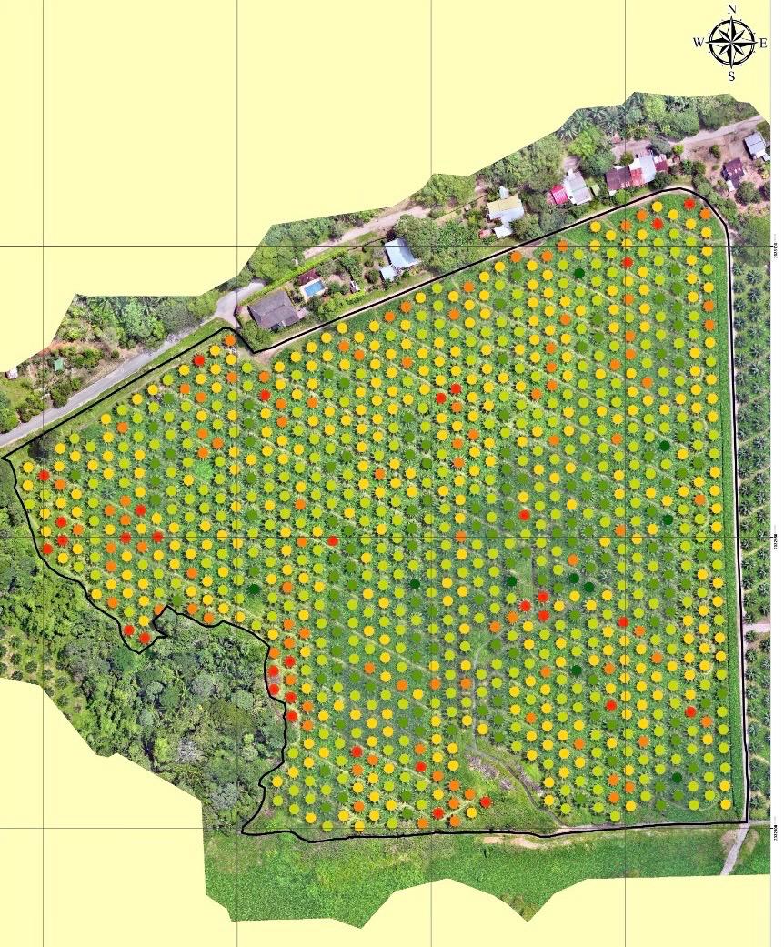 Monitoreo individual del Cultivo